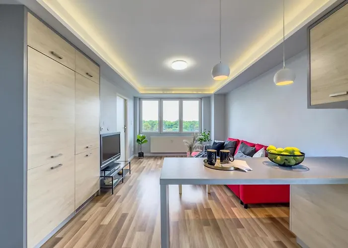 Z Widokiem Na Panorame Miasta * Krakow